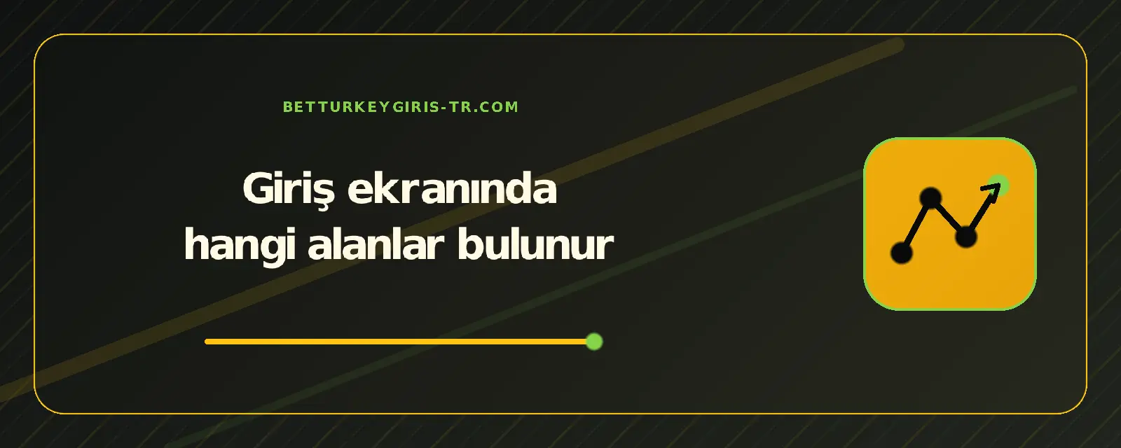 Giriş ekranında hangi alanlar bulunur – betturkeygiris-tr.com