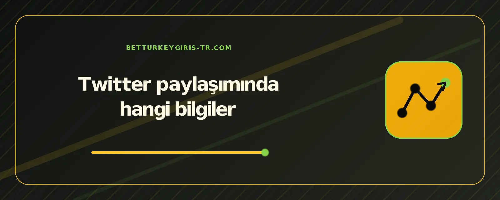 Twitter paylaşımında hangi bilgiler – betturkeygiris-tr.com